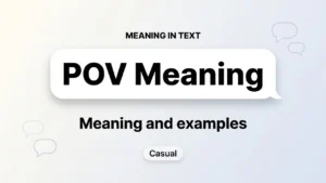 POV Meaning