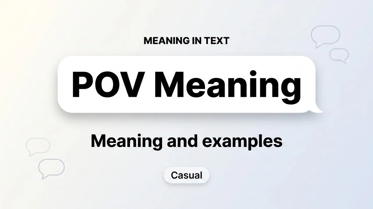 POV Meaning