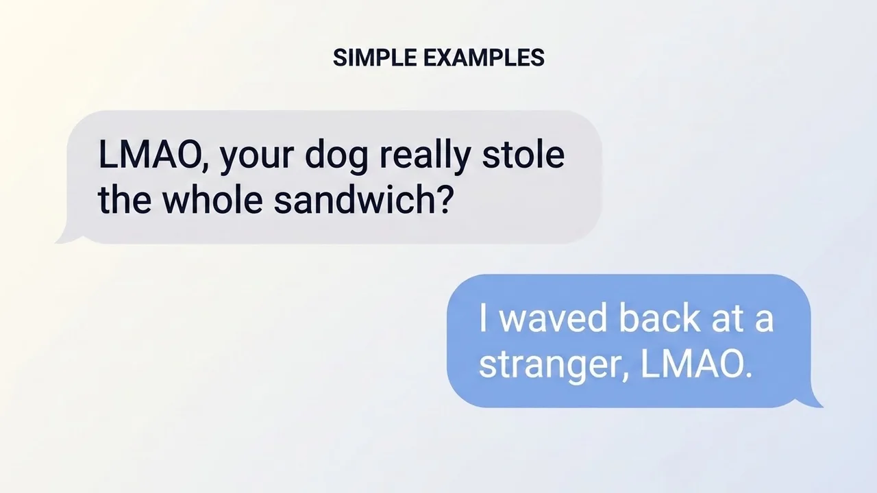 Simple Examples - LMAO Meaning meaning
